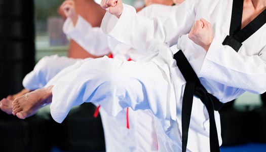 panther-martial-arts-center-camarillo-ventura-adult-taekwondo