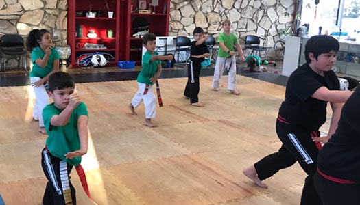 panther-martial-arts-center-camarillo-ventura-kids-taekwondo